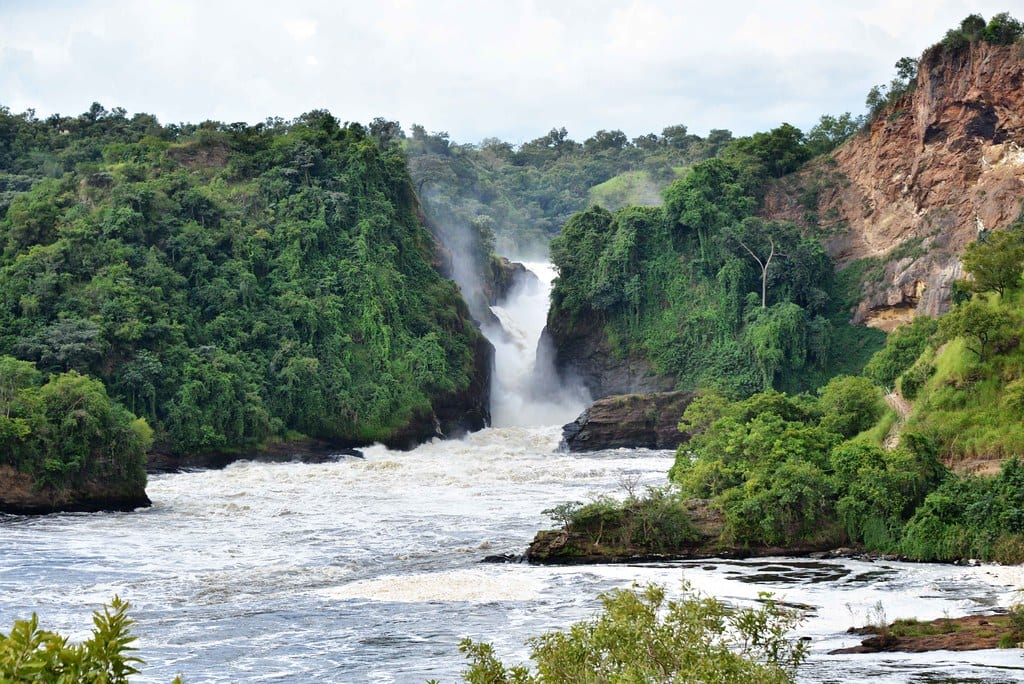 Murchison Falls National Park: Where the Nile Explodes Through a Seven-Metre Gap