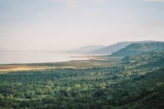 Lake Manyara National Park: Tree-Climbing Lions, Flamingos and the Groundwater Forest