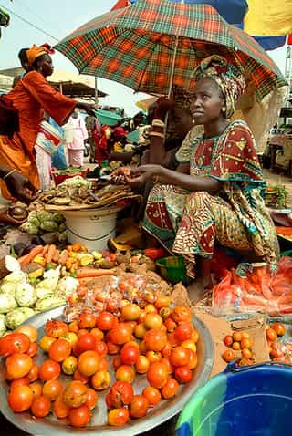Senegal Travel Guide: Dakar, Gorée & the Pink Lake