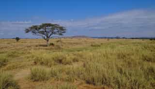 Tanzania's Northern Circuit: How to Plan the Classic Safari Loop