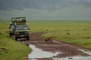 What a Tanzania Safari Really Costs: Budget to Luxury, Line by Line