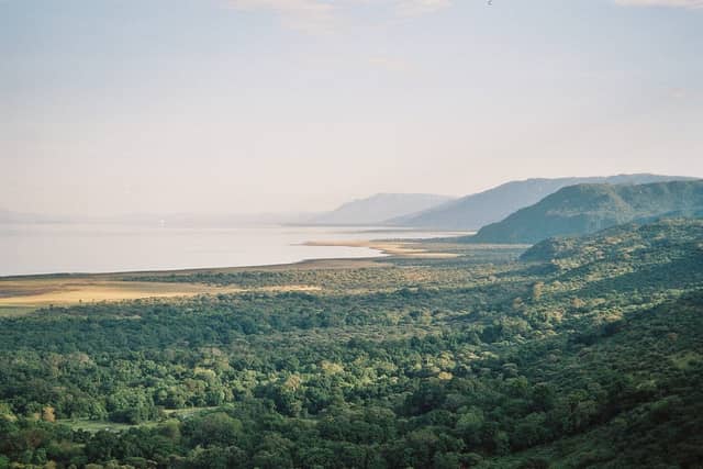Lake Manyara National Park: Tree-Climbing Lions, Flamingos and the Groundwater Forest