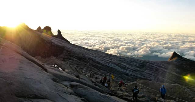 Mount Kilimanjaro Climb: Complete Summit Guide