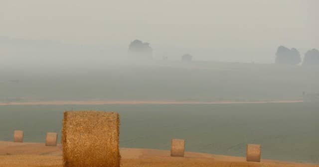 Serengeti Migration Tanzania: The Great Wildlife Spectacle