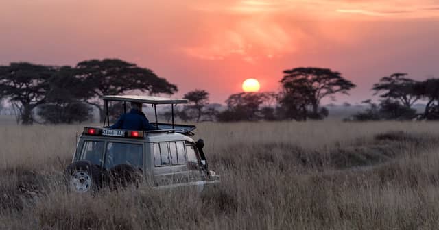 Tanzania Safari: Complete Serengeti & Ngorongoro Guide