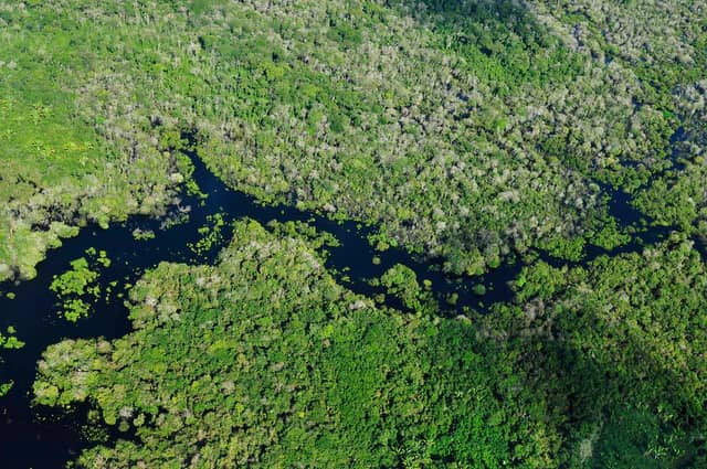 Skydiving Brazil Amazon Rainforest: Ultimate Jungle Canopy Freefall Experience