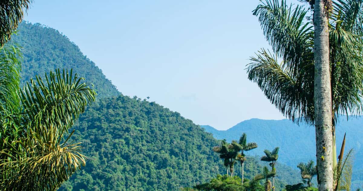 Ciudad Perdida (Lost City) Trek: Complete 4-Day Guide - Hero Image