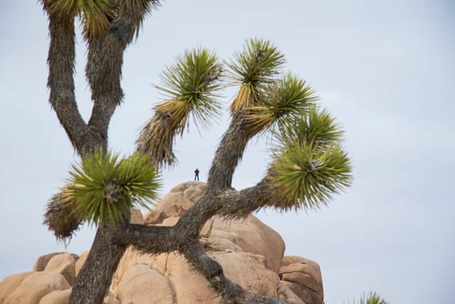 Rock Climbing Mojave Desert USA: Ultimate High Desert Climbing Adventure