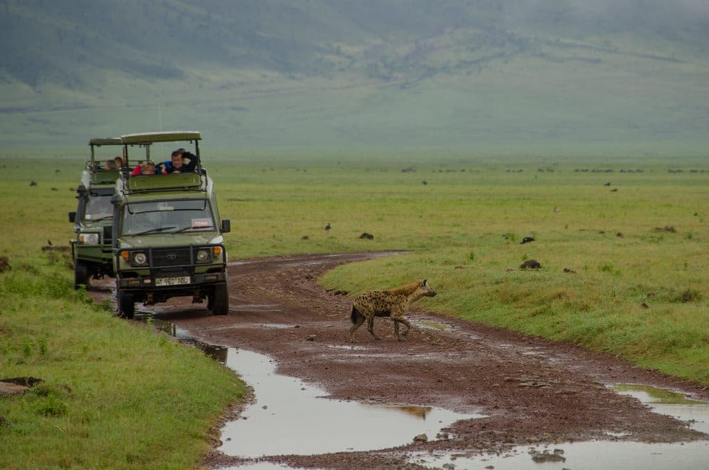 What a Tanzania Safari Really Costs: Budget to Luxury, Line by Line - Hero Image