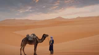 Authentic 9 days Morocco tour from Marrakech to Sahara - Photo 3