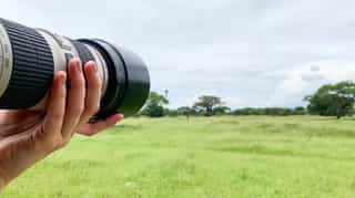 4 Days Budget Safari - Tarangire, Serengeti & Ngorongoro - Photo 3