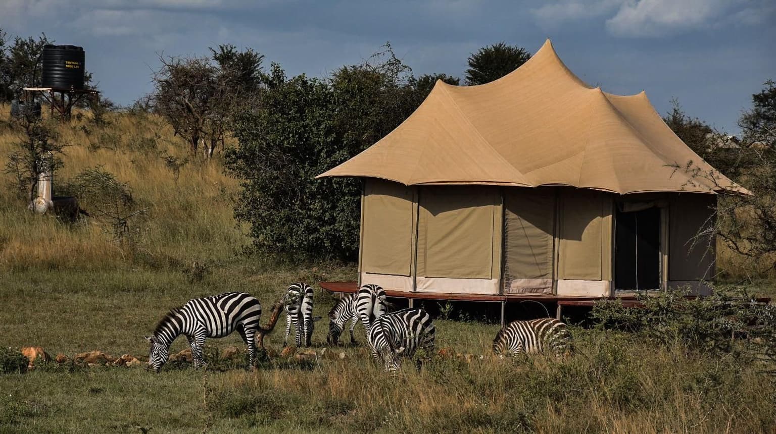 6 Days Tanzania Experience in Luxury Tented Camp