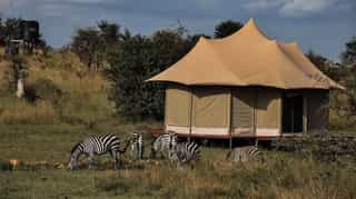 6 Days Tanzania Experience in Luxury Tented Camp