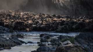 6 Days Tanzania Experience in Luxury Tented Camp - Photo 2
