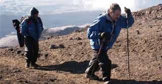 Kilimanjaro Lemosho Route Trek: 8-Day Itinerary - Photo 2
