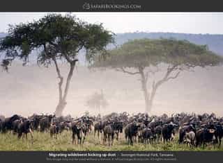 3-Day Big Five & Beyond Wildlife Budget Safari