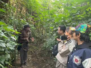 Budget Friendly Gorilla Trekking Tour - Photo 4
