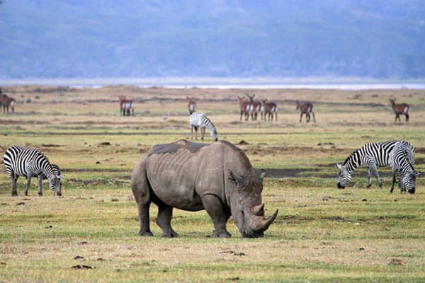 Tarangire, Ngorongoro and Serengeti.