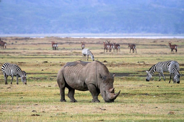 Tarangire, Ngorongoro and Serengeti.
