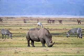 4-Day Tanzania Budget Wildlife Expedition - Photo 3