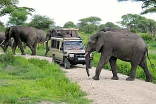 6-Day Memorable Midrange Wildlife Safari - Photo 2