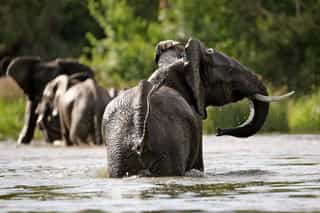 14-Day Primates and Wildlife and Cultural Tour - Photo 2