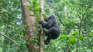 16-Day Birding and Wildlife Experience - Photo 2