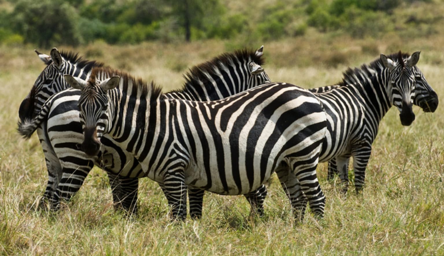 7-Day Omo Valley Tribes & Lalibela Photography Tour