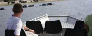 7-Day Victoria Falls, Chobe, Hwange Safari Tour - Photo 3