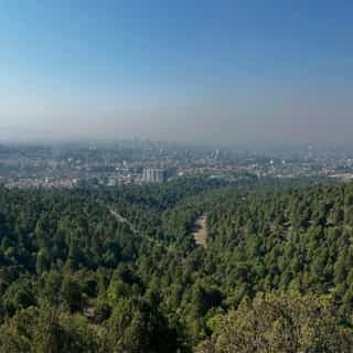 Addis Ababa City Tour Explore Ethiopia’s Capital - Photo 3