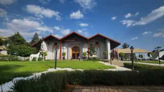 Addis Ababa City Tour Explore Ethiopia’s Capital - Photo 4