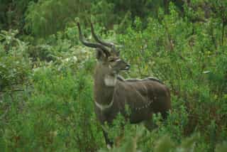 Nine Day Bale Mountains Trekking Tour - Photo 3