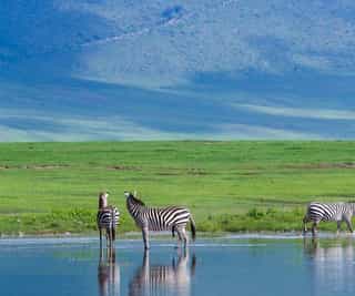 6-Day Memorable Midrange Wildlife Safari - Photo 3