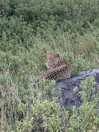 Tarangire, Ngorongoro and Serengeti. - Photo 3