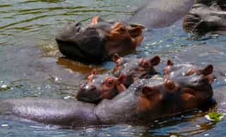 5-Day Tanzania Group Joining Safari - Photo 3