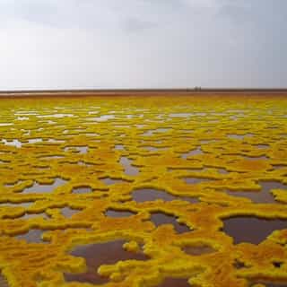 Extreme Ethiopia Lalibela and Danakil Depression 7-Day Adventure - Photo 3