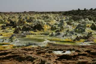 Danakil Depression Tour 3 Days to Dallol & Erta Ale - Photo 4