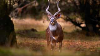 12-Day Southern Ethiopia & Bale Mountains Tour - Photo 4