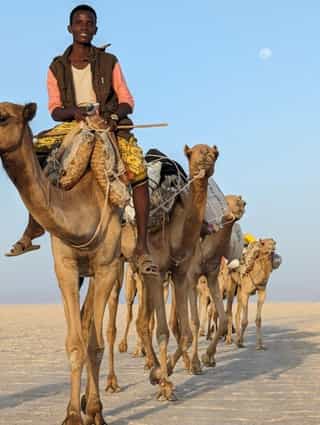 4-Day Addis Ababa and Danakil Depression Ethiopia Tour - Photo 2