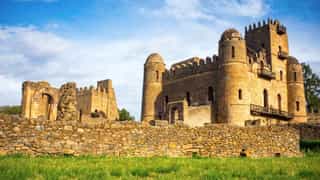 7-Day Ethiopia Tour - Photo 2