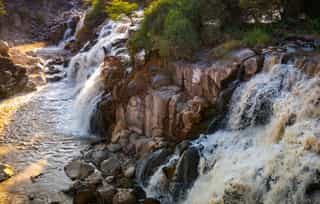 2-Day Awash National Park Game Safari - Photo 2