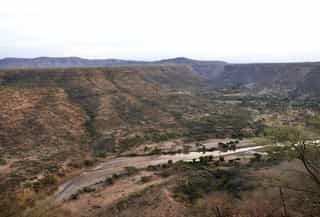 2-Day Awash National Park Game Safari - Photo 4