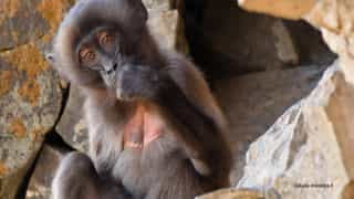 8-Day Northern Ethiopia Tour - Photo 5