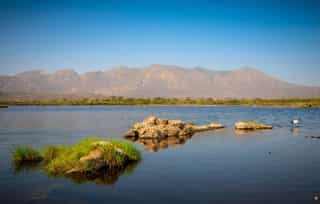 Awash National Park, Safari, Wildlife, Ethiopia - Photo 3
