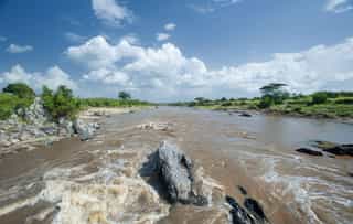 Awash National Park, Safari, Wildlife, Ethiopia - Photo 4