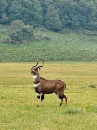 Ethiopia Wildlife Safari and Bale Mountains Adventure 5 Days - Photo 2