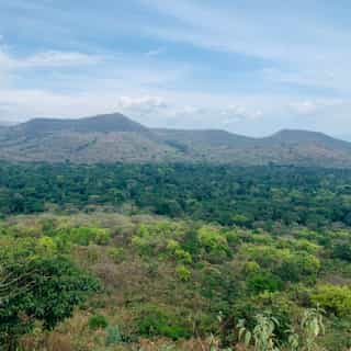 Ethiopia Wildlife Safari 4-Day Chebera Churchura Tour - Photo 4