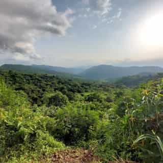 Ethiopia Wildlife Safari 4-Day Chebera Churchura Tour - Photo 5